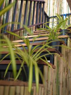 Tropical Nest Jungle stay - 8