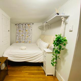 Beacon Hill Vintage Studio Near MGH and Downtown - 1