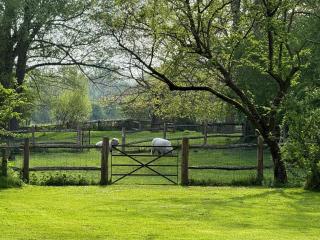 1 Bed in Thornham Magna 34390 - 8