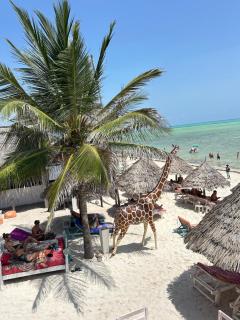 Luwa Beach&Suits - 9