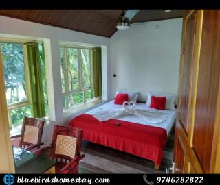 Blue Birds Homestay - 8