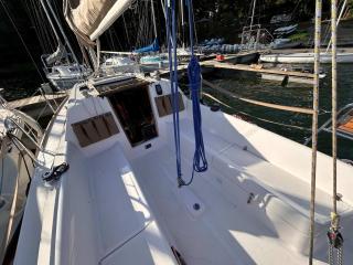 Maxus 24 evo na Wdzydzach - 6