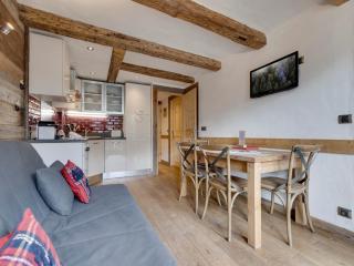 Appartement rénové 1 chambre + alcôve, ski aux pieds, Val Village - FR-1-567-65 - 3