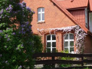 Jeleńczówka Alte Dorfschule - Parchowo - 8