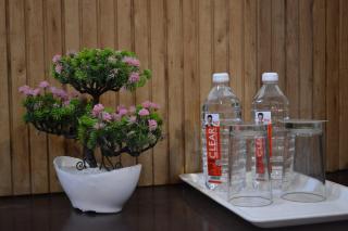 Hotel Crown Palace - Hotel in Vasundhara Sector 5 - 8