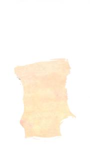 Cacao - 2