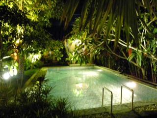 Villa Rosseno - Evelyn Private pool and Garden - Yogyakarta - 8