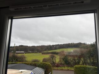 Forest view - 3