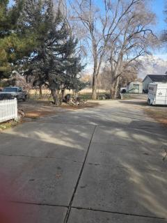 Beautiful Country Location - 1