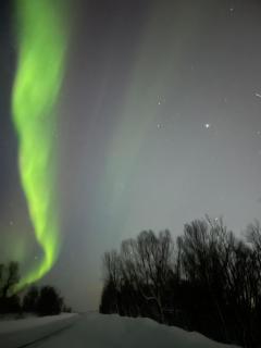 Cozy Tromsø Apartment - Central - Near bus Access - 5
