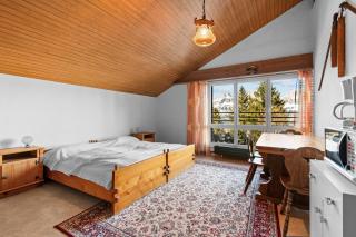 Hirschdächli im Waldhaus - 1