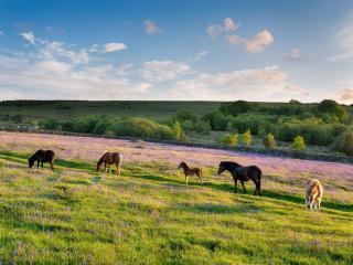 1 Bed in Peter Tavy HIGHM - 1
