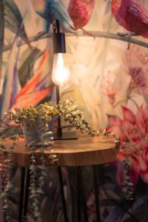 Heimbi-Home No 1 I 4-6 Personen I Nähe EuropaPark I Parkplatz und E Ladestation - Schwanau - 2