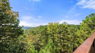 New Unbelievable Views Gourmet Kitchen Firepit - 6