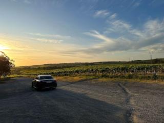 Koala Vale Wine Escape-Vintage Retreat McLarenVale - 4