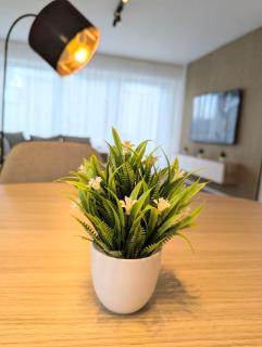 Sauna Apartment Adelina Bad Wörishofen - 5