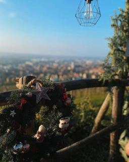 Charmant studio dans le vignoble proche Strasbourg - 1