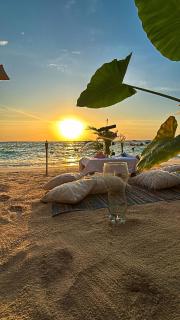 Tipiland baru la casa del mono - 2