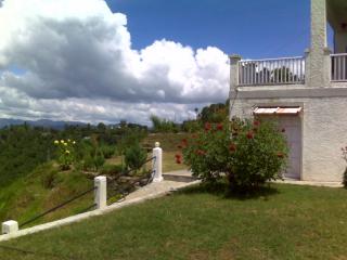 Cosmos HImalayan Villas - Rānīkhet - 3