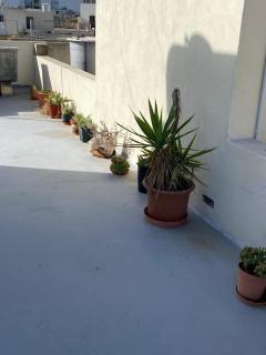 Adinkra Suits - Balzan - 8