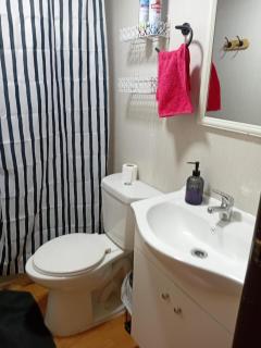 Cabaña Terraza Choshuenco - 1