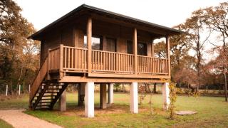 Pensión Cabañas Bosque Máxico de Bonxe - 9