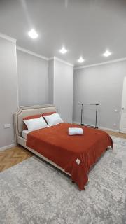 3х комнатная квартира в районе вокзала Нурлы жол - 9