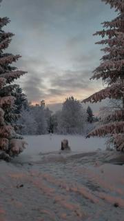 Tunnelmallinen mökki saunalla - 7