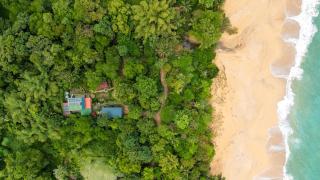 Off Grid Studio Apartment Jungle Retreat - 2