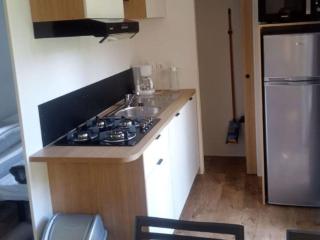 Mobil Home Familial avec Terrasse - 4 Pers. - API-1-52-1731 - 8