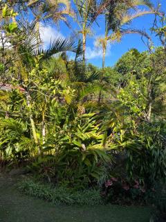 Cabaña amueblada en bello jardin - 6