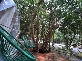 Único Domo de Pipa Conforto e Exclusividade na Mata - 8