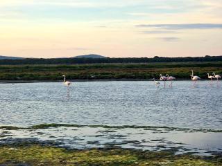 Studio plage Parenthèse et douceur - 1