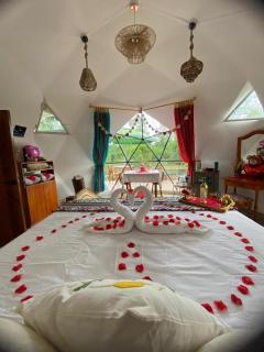 The Tortoise Dome Lodge - 6