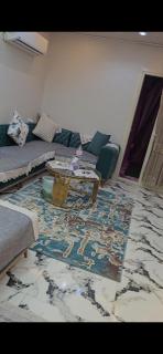 مصر الاسكندرية ميامي - 2