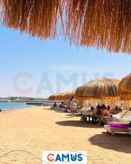 CAMUS 448A, Princess Resort - 5