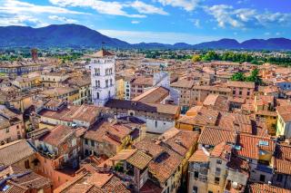 Apartments in Cerreto Guidi - Toskana 23873 - 1