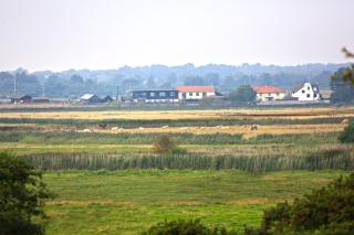 4 Bed in Southwold oc-cast - 8
