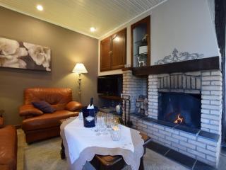 Cozy Family Holiday Home - 1