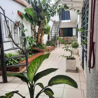 Santa cruz Backpacker Hostel - 4