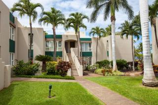 Palms at Wailea #603 Fully Air Conditioned, Great Rates, Near Great Beaches - 7