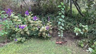 La Serena de Los Cocos - 8