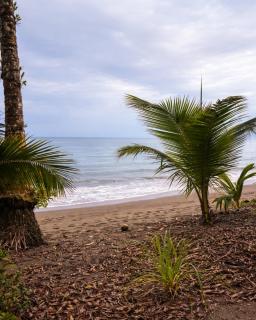 Playa Terküa hotel - 6