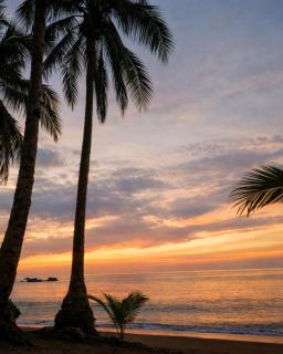 Playa Terküa hotel - 1