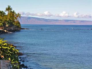 Maui Beach House B & B - 6