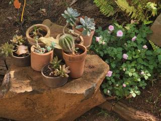 Greentraveller Buon Ma Thuot Homestay - 7