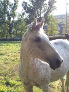Domaine des sentiers - 3