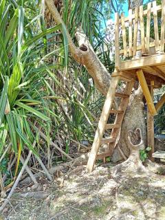 Heritage creole Habitation familiale jacuzzi 150m de la mer des Caraïbes - 6