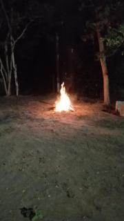 Peacock Garden Villa - 9