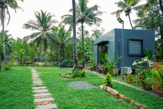 Arbox Daycation - 6
